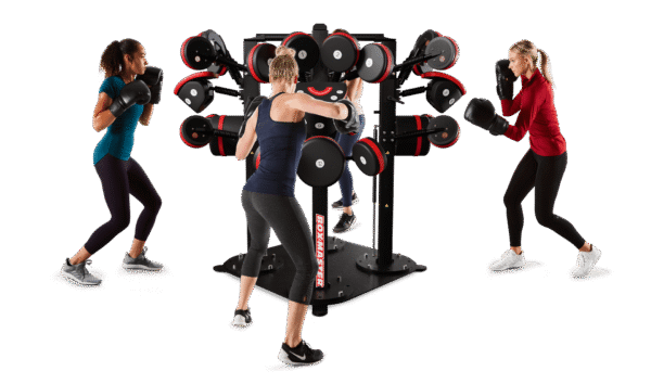 Stairmaster Boxmaster Quad Package - Image 2