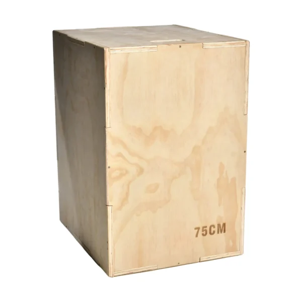 Swiss Barbell Wood Plyo - Image 3