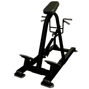 Nautilus Incline Lever Row