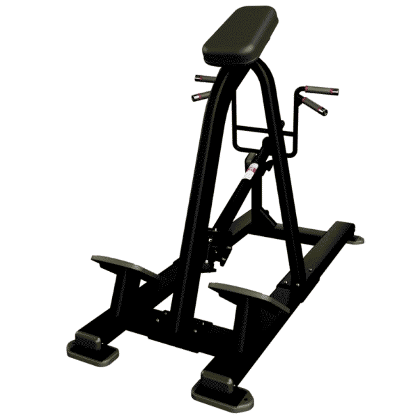 Nautilus Incline Lever Row