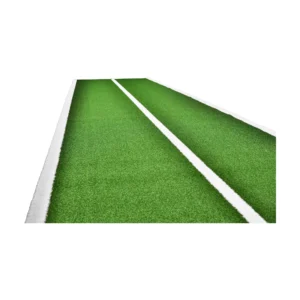 Swiss Barbell Gym Turf/Tracks