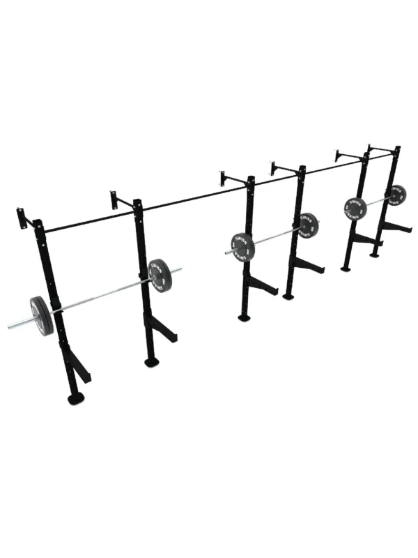 Swiss Wall Mounted Rigs