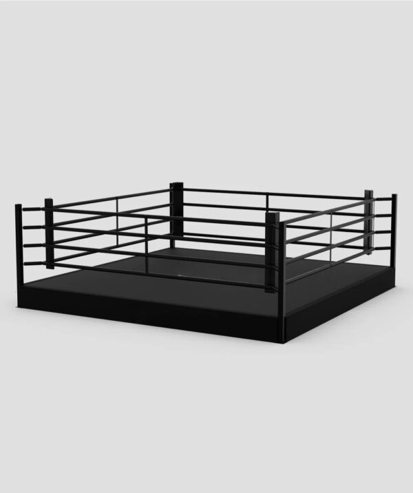 Custom Classic Boxing Ring - Image 2