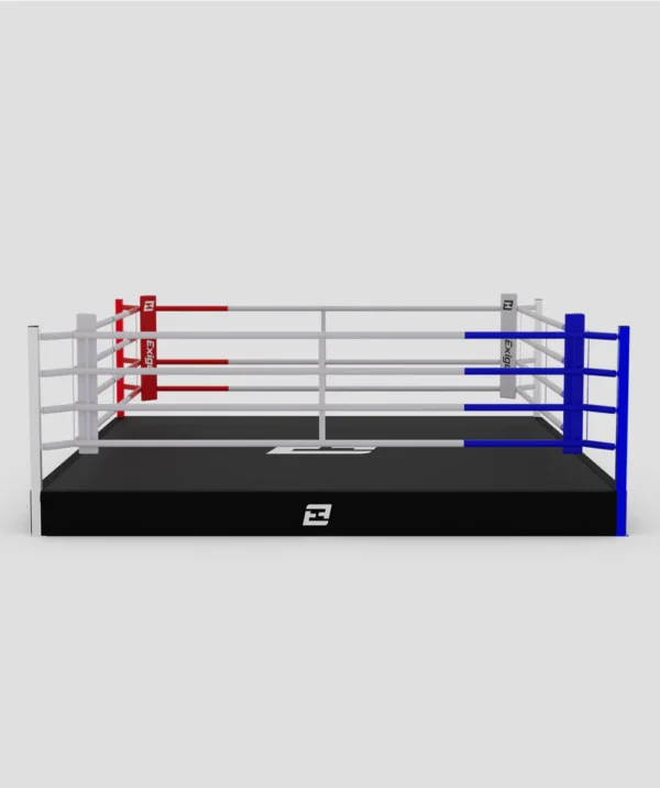 Classic Training Ring - Image 2