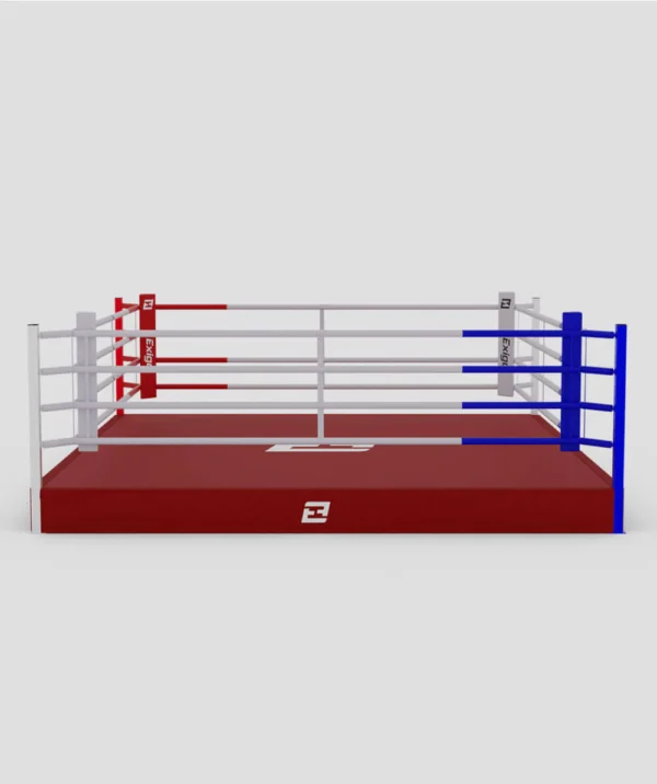 Classic Training Ring - Image 4