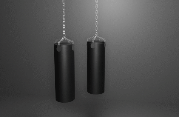 BOX CLASS PUNCH-BAG - Customisable - Image 2
