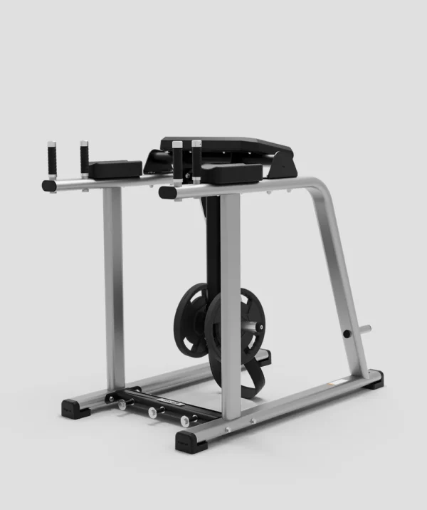 Exigo Reverse Hyper Extension