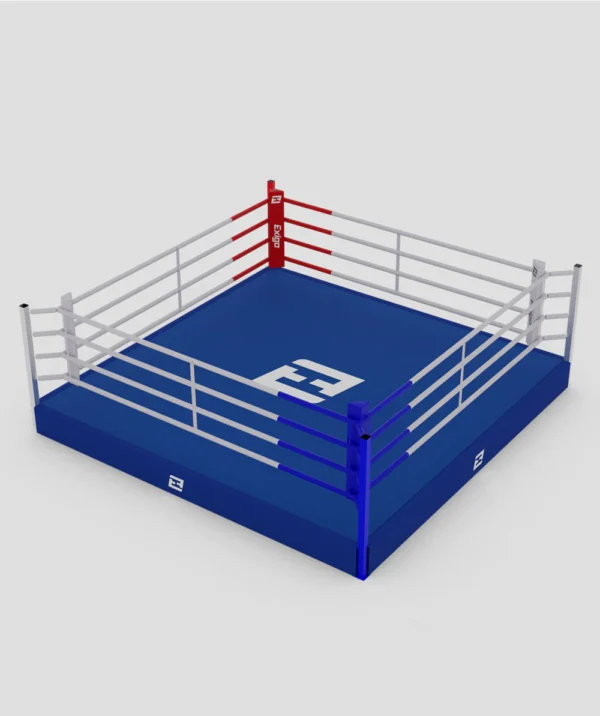 Classic Training Ring - Image 6