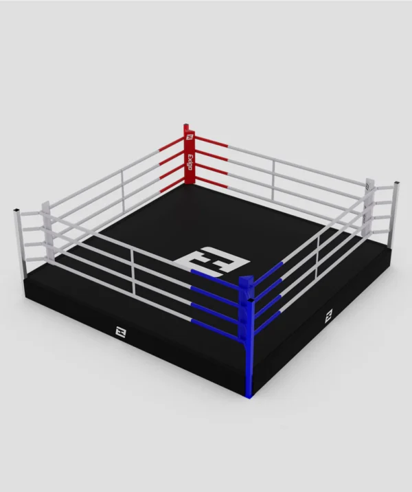 Classic Training Ring