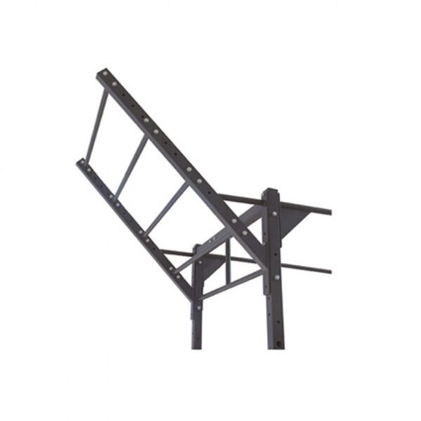 Swiss Barbell 45 Degree Pull Up Wing